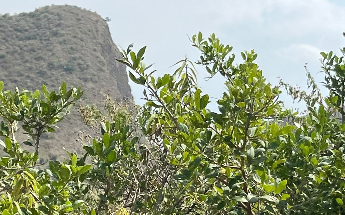 Port Victoria Hike